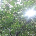 「県民泊まって応援キャンペーン」クーポンをご利用のお客様へ