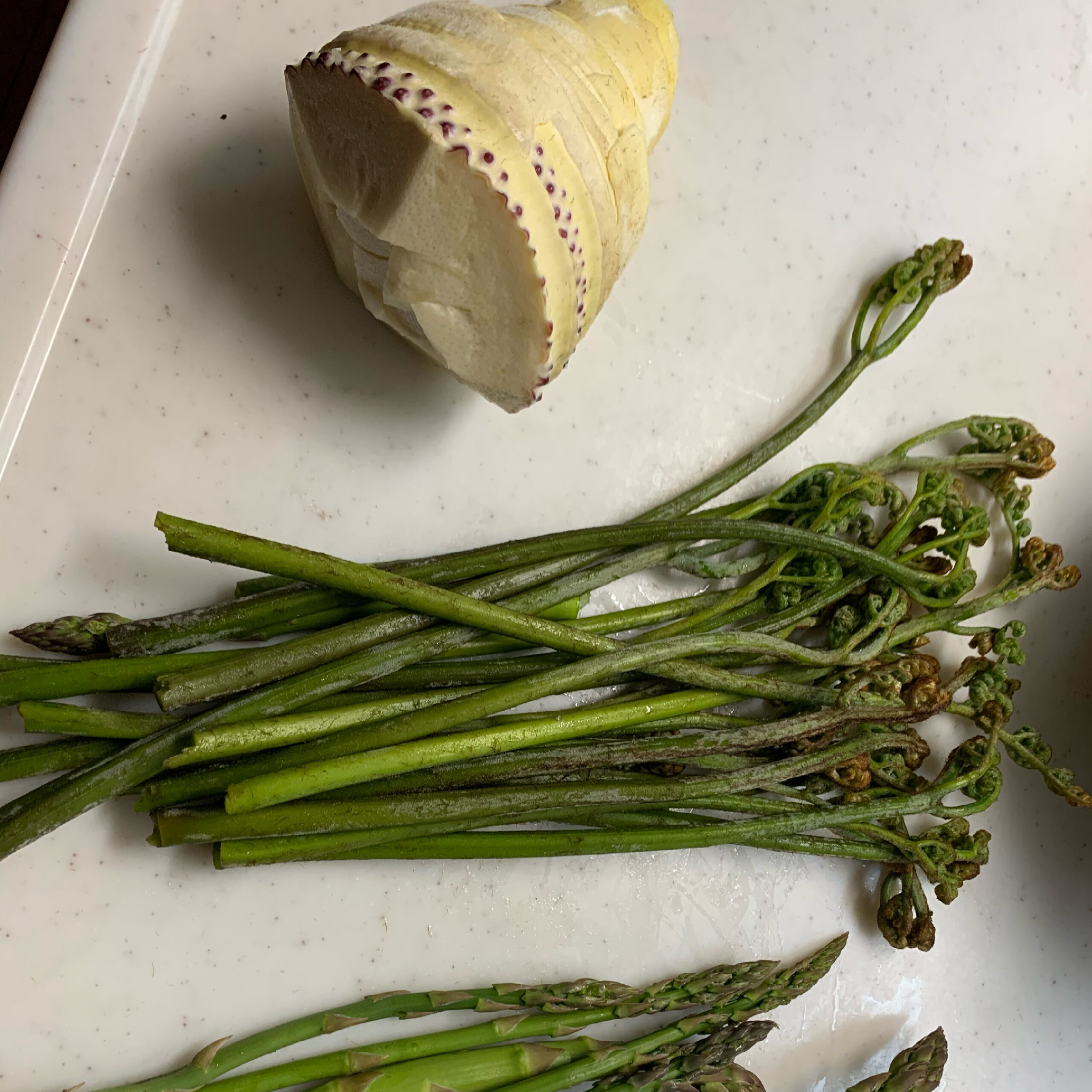 山菜・筍・蕨が旬を迎えました。♬