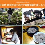 「やまがた的田舎旅」体験レビュー