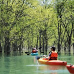 モデルコースをご紹介