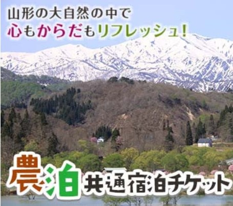 ふるさと納税 お礼の品について