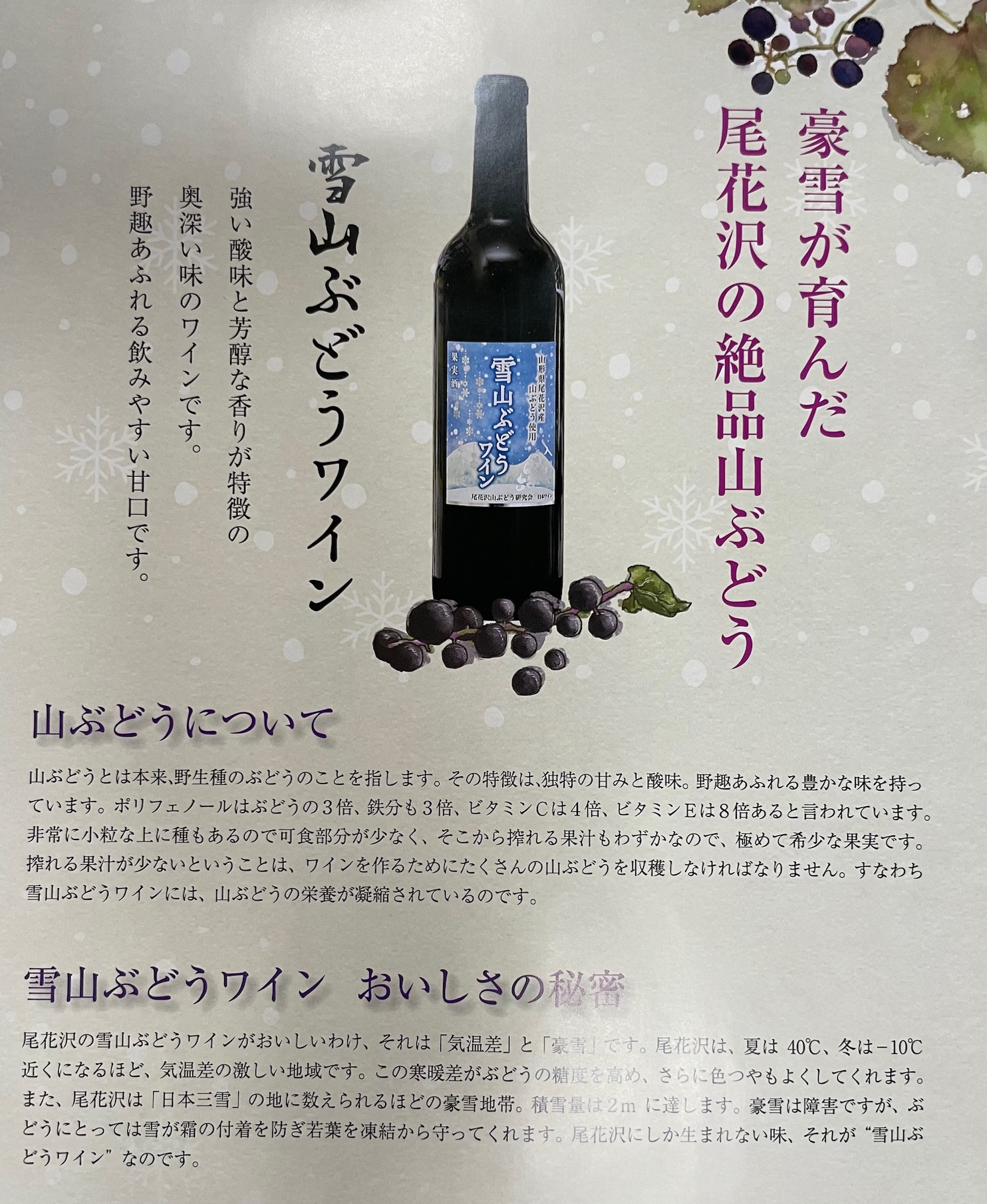 豪雪が育んだ尾花沢の絶品山ぶどう