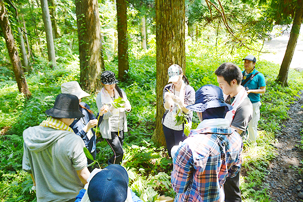 裏山でも、自然体験ができます。