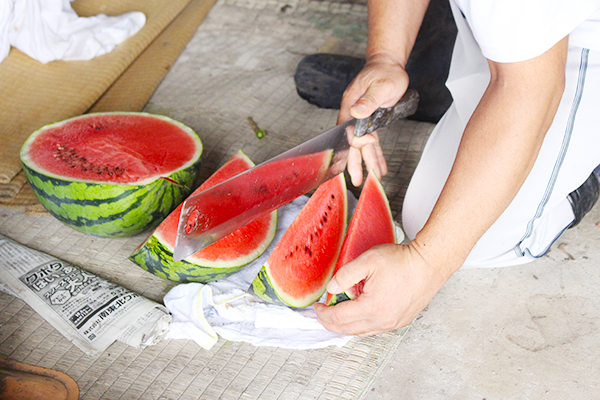 This watermelon was harvested from our garden