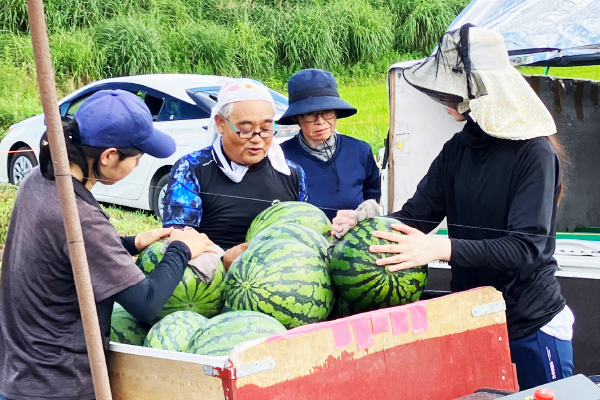 watermelon