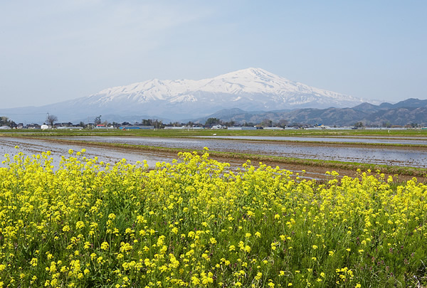 鳥海山