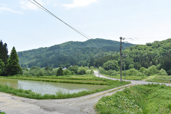 目の前に広がる田園風景
