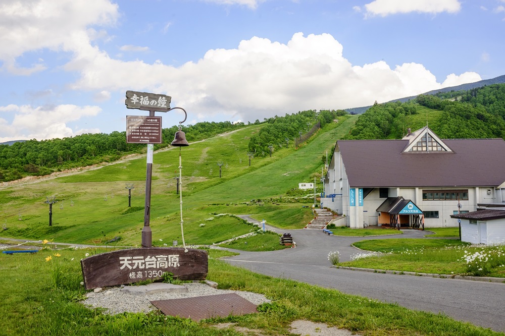 田んぼアート