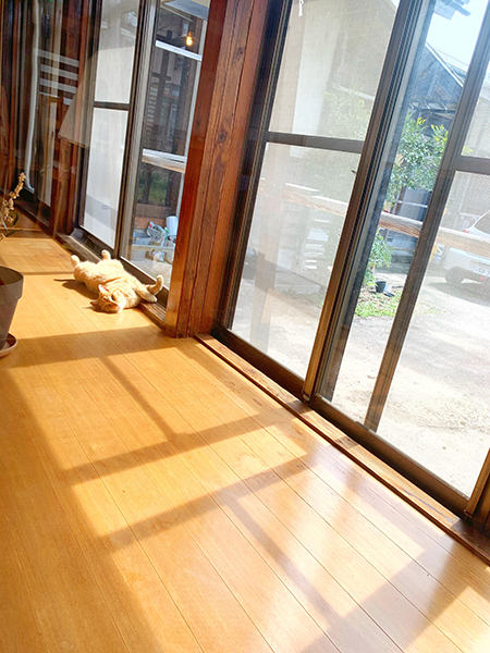 宿泊部屋