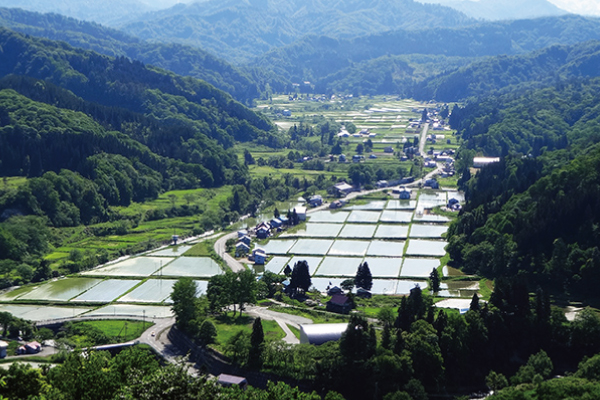 Nakatsugawa Observatory