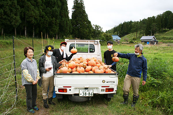 
Crop harvest experience