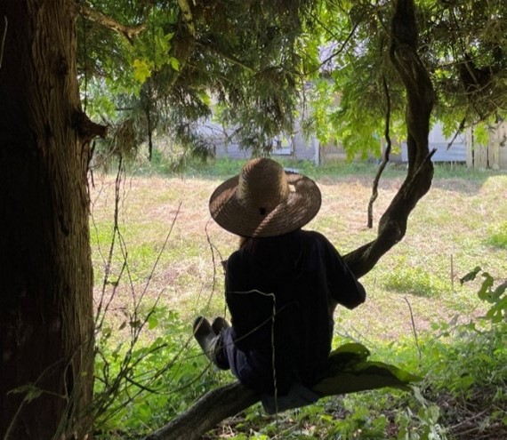 Climb a tree and view the inn from a wooded area.